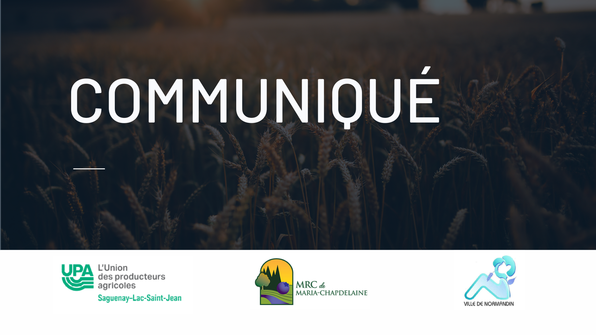 COMMUNIQUÉ : Inquiétudes régionales quant aux impacts des coupures à Agriculture et Agroalimentaire Canada sur l’avenir de la Ferme expérimentale de Normandin Actualités À la une